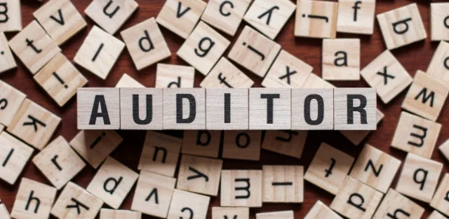 Beyond the Numbers: The Critical Role of an Auditor in Business