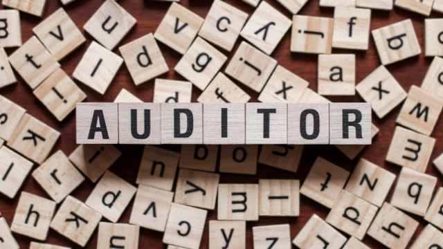 Beyond the Numbers: The Critical Role of an Auditor in Business