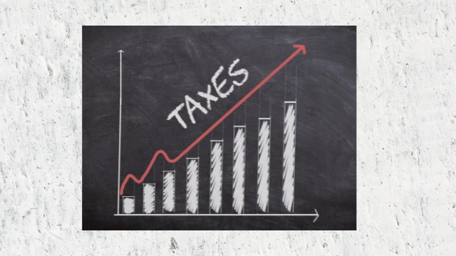 The Ultimate Guide to Understanding Your Paycheck and Taxes