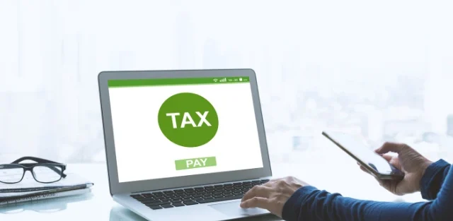 Stop the Panic: How to Organize for Small Business Tax Filing