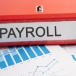 Payroll Software : Simplifying Payroll for Modern Businesses