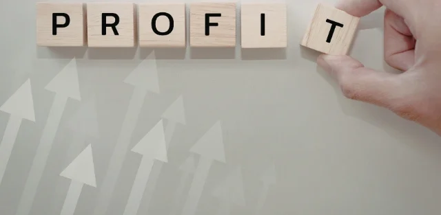 How Small Businesses Can Increase Profits Successfully