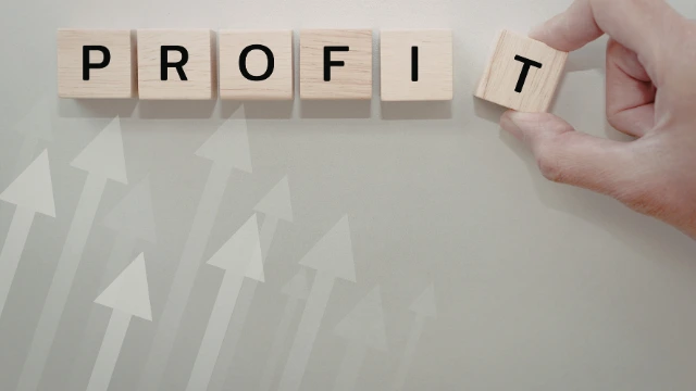 How Small Businesses Can Increase Profits Successfully