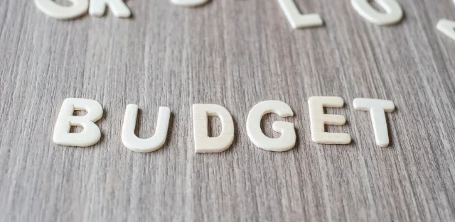 Smart Budgeting for Individuals and Families