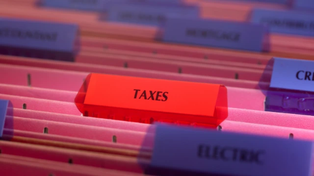 File Taxes with Professional Support for Better Results