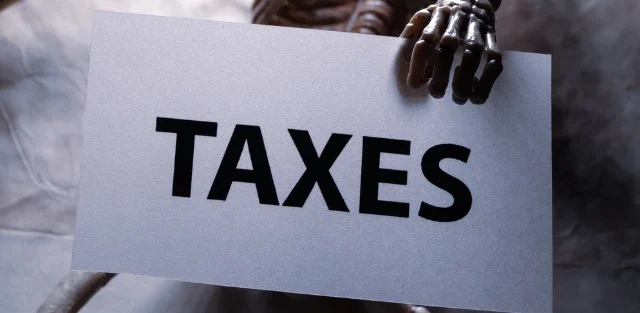 How Professional Tax Management Helps You Save Money
