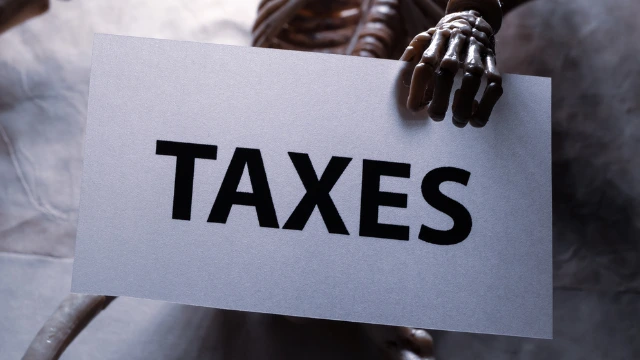 How Professional Tax Management Helps You Save Money